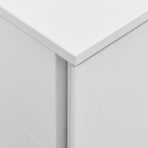 Mobile File Cabinet Light Grey 39x45x67 cm Steel