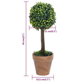Artificial Boxwood Plants 2 pcs with Pots Ball Shaped Green 56 cm - Rear View