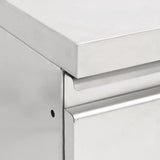 Commercial Kitchen Cabinets 2 pcs 50x60x96 cm Stainless Steel