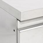 Commercial Kitchen Cabinets with 3 Drawers 2 pcs 50x60x96 cm