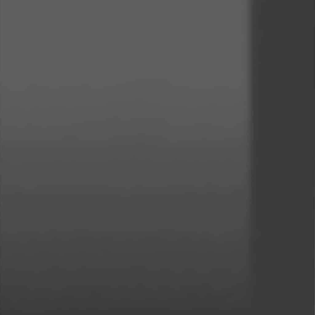 Shoe Cabinet High Gloss Grey 60x35x92 cm Engineered Wood