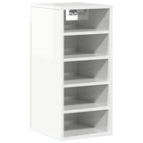 Shoe Cabinet High Gloss White 31.5x35x70 cm Engineered Wood