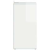 Shoe Cabinet High Gloss White 31.5x35x70 cm Engineered Wood - Rear View