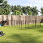 Dog Kennel Black 15,73 m² Steel