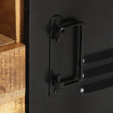 TV Cabinet 120x30x40 cm Solid Wood Mango - Close-Up Angle