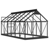 Glass Greenhouse Anthracite 155x298x191 cm Aluminium - Rear View