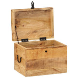 Storage Box 39x28x31 cm Solid Wood Mango - Side View