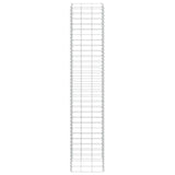 Gabion Raised Beds 3 pcs 30x30x150 cm Iron
