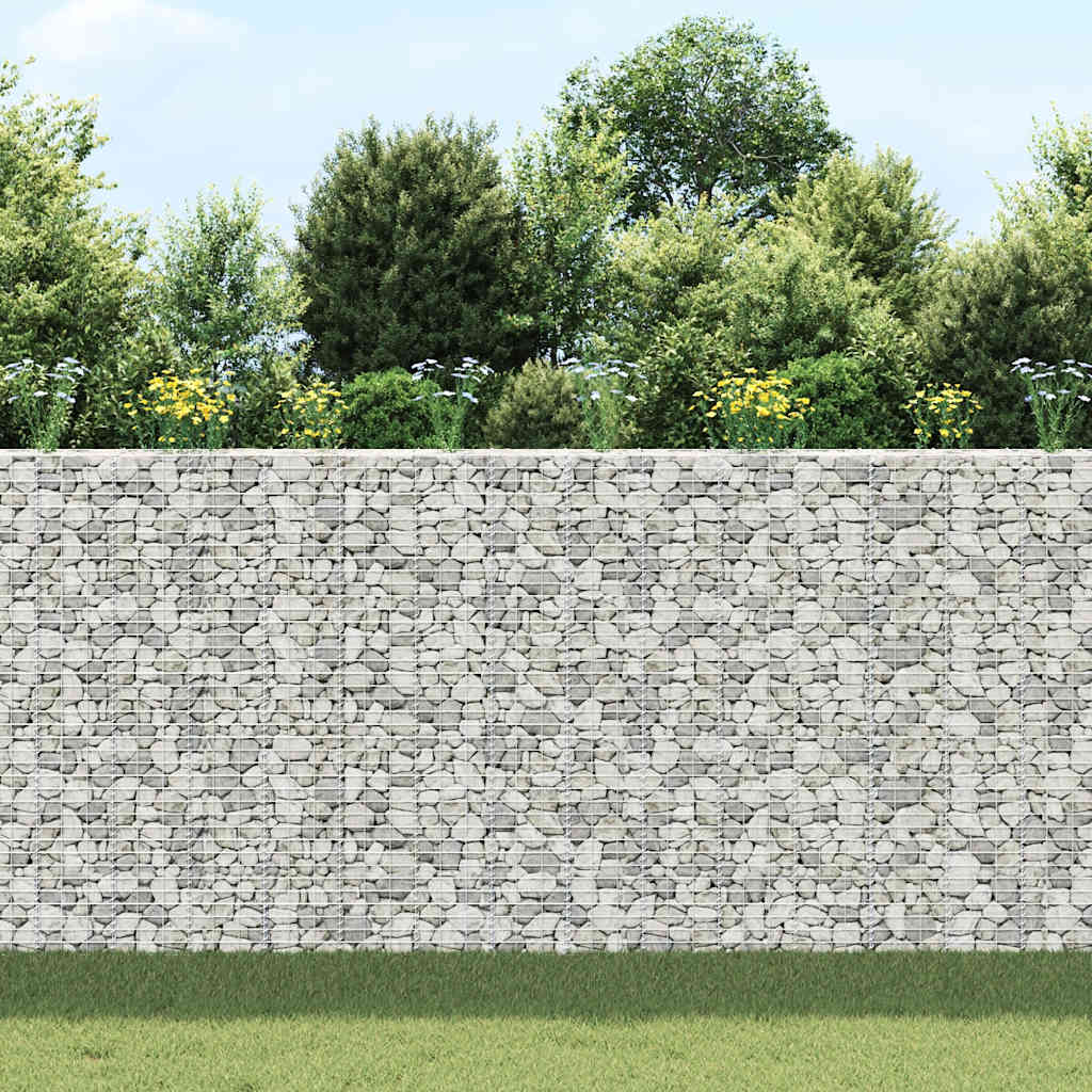 Gabion Raised Beds 3 pcs 30x30x200 cm Iron