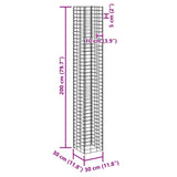 Gabion Raised Beds 3 pcs 30x30x200 cm Iron
