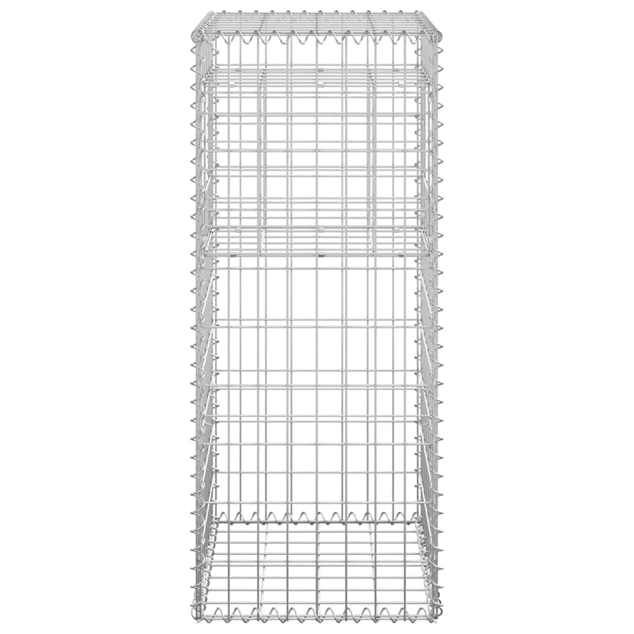 Gabion Basket Posts 2 pcs 40x40x100 cm Iron