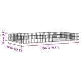 Gabion Raised Bed Galvanised Steel 200x100x20 cm