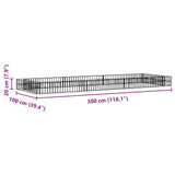 Gabion Raised Bed Galvanised Steel 300x100x20 cm