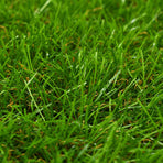 Artificial Grass 1x2 m/40 mm Green