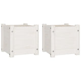 Garden Planters 2 pcs White 31x31x31 cm Solid Pinewood - Front View