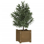 Garden Planter Honey Brown 31x31x31 cm Solid Pinewood
