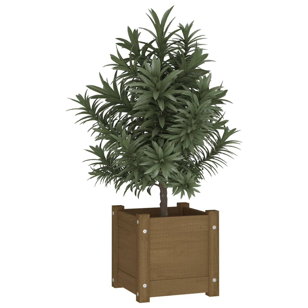 Garden Planters 2 pcs Honey Brown 31x31x31 cm Solid Pinewood