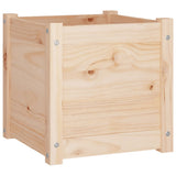 Garden Planters 2 pcs 40x40x40 cm Solid Pinewood - Top-Down View