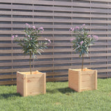 Garden Planters 2 pcs 40x40x40 cm Solid Pinewood