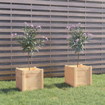 Garden Planters 2 pcs 40x40x40 cm Solid Pinewood