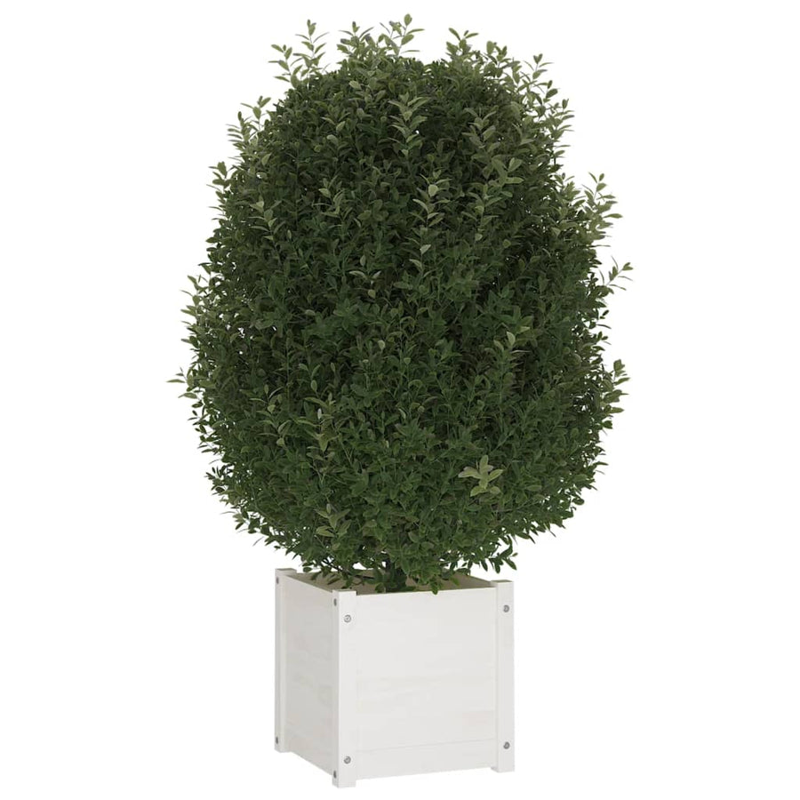 Garden Planters 2 pcs White 40x40x40 cm Solid Pinewood
