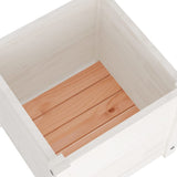 Garden Planters 2 pcs White 40x40x40 cm Solid Pinewood - Close-Up Angle