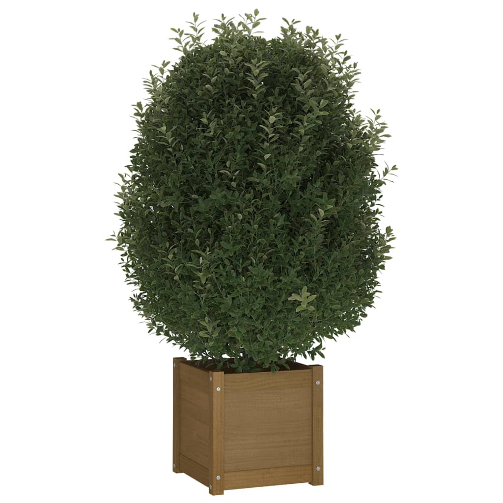 Garden Planters 2 pcs Honey Brown 40x40x40 cm Solid Pinewood