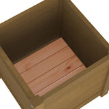 Garden Planters 2 pcs Honey Brown 40x40x40 cm Solid Pinewood