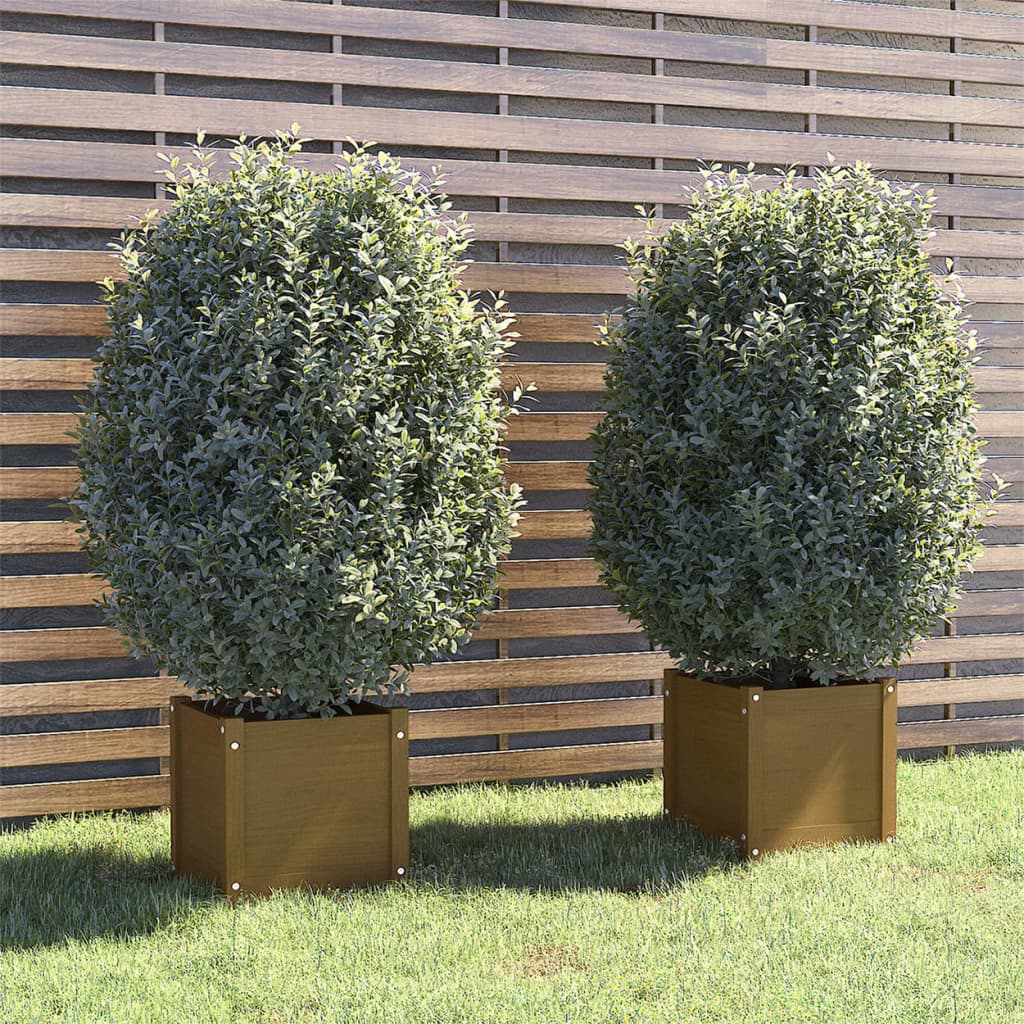 Garden Planters 2 pcs Honey Brown 40x40x40 cm Solid Pinewood