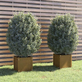 Garden Planters 2 pcs Honey Brown 40x40x40 cm Solid Pinewood