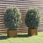 Garden Planters 2 pcs Honey Brown 40x40x40 cm Solid Pinewood