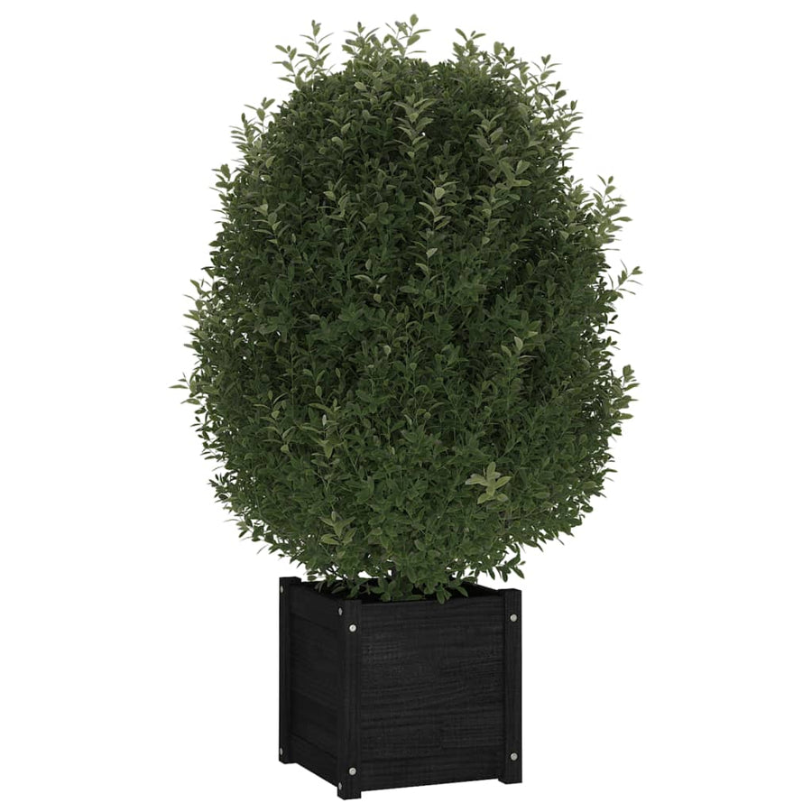 Garden Planters 2 pcs Black 40x40x40 cm Solid Pinewood