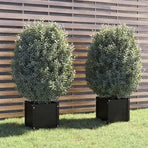 Garden Planters 2 pcs Black 40x40x40 cm Solid Pinewood