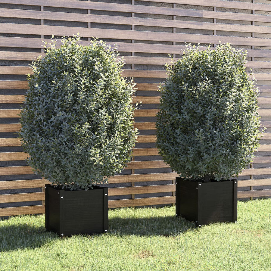 Garden Planters 2 pcs Black 40x40x40 cm Solid Pinewood