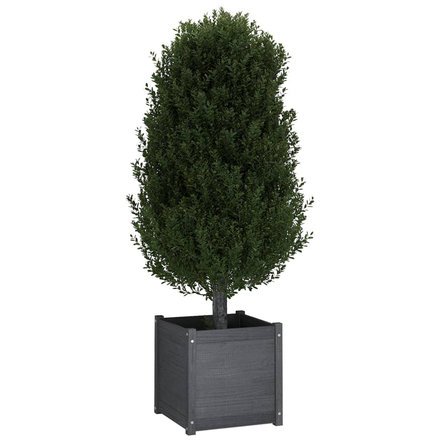Garden Planter Grey 50x50x50 cm Solid Pinewood