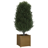 Garden Planter Honey Brown 50x50x50 cm Solid Pinewood - Close-Up Angle