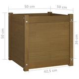 Garden Planter Honey Brown 50x50x50 cm Solid Pinewood - Low Angle