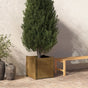 Garden Planter Honey Brown 50x50x50 cm Solid Pinewood