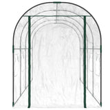 Greenhouse Transparent 160x400x190 cm PVC&Powder-coated Steel - Side View