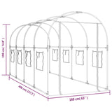 Greenhouse Transparent 160x400x190 cm PVC&Powder-coated Steel - Rear View