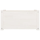 Garden Planters 2 pcs White 60x31x31 cm Solid Pinewood - Top-Down View