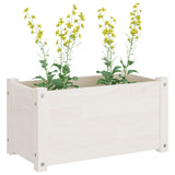 Garden Planters 2 pcs White 60x31x31 cm Solid Pinewood - Low Angle
