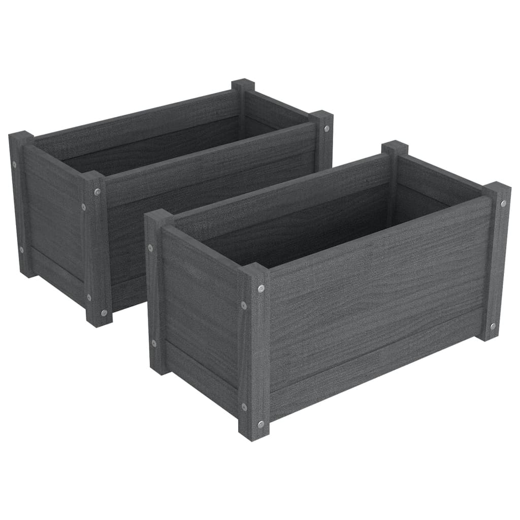 Garden Planters 2 pcs Grey 60x31x31 cm Solid Pinewood