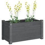 Garden Planters 2 pcs Grey 60x31x31 cm Solid Pinewood - Low Angle