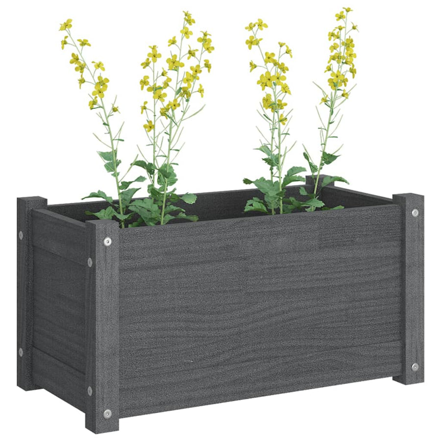 Garden Planters 2 pcs Grey 60x31x31 cm Solid Pinewood