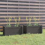 Garden Planters 2 pcs Grey 60x31x31 cm Solid Pinewood