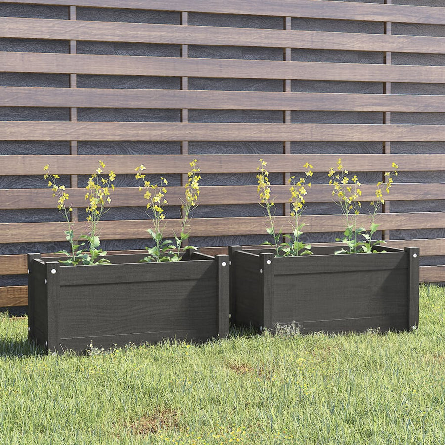Garden Planters 2 pcs Grey 60x31x31 cm Solid Pinewood