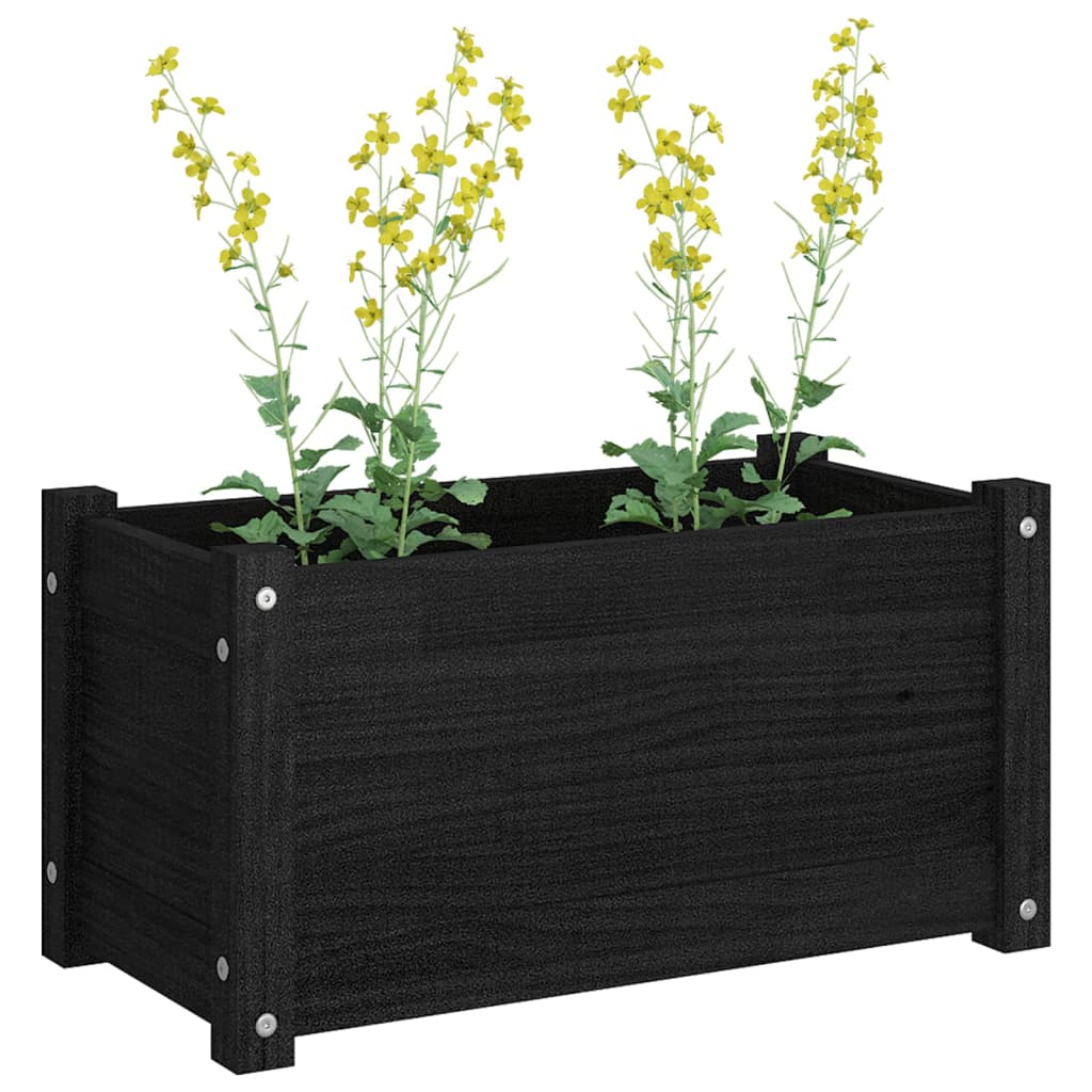 Garden Planter Black 60x31x31 cm Solid Pinewood