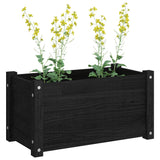 Garden Planter Black 60x31x31 cm Solid Pinewood - Close-Up Angle