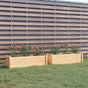 Garden Planters 2 pcs 100x31x31 cm Solid Pinewood